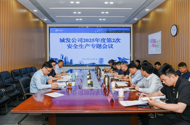 城發(fā)公司召開(kāi)2025年度第2次安全生產(chǎn)專(zhuān)題會(huì)議